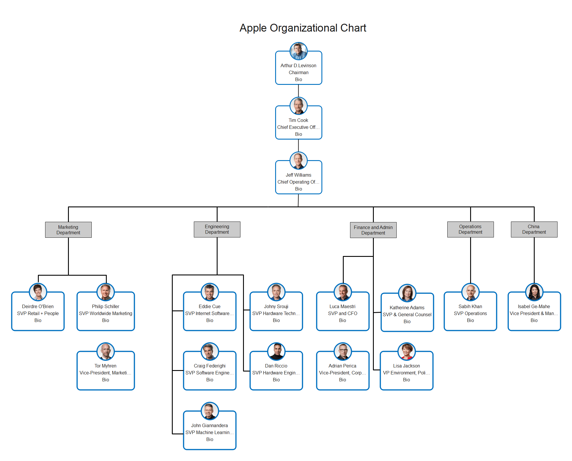 Organization Chart